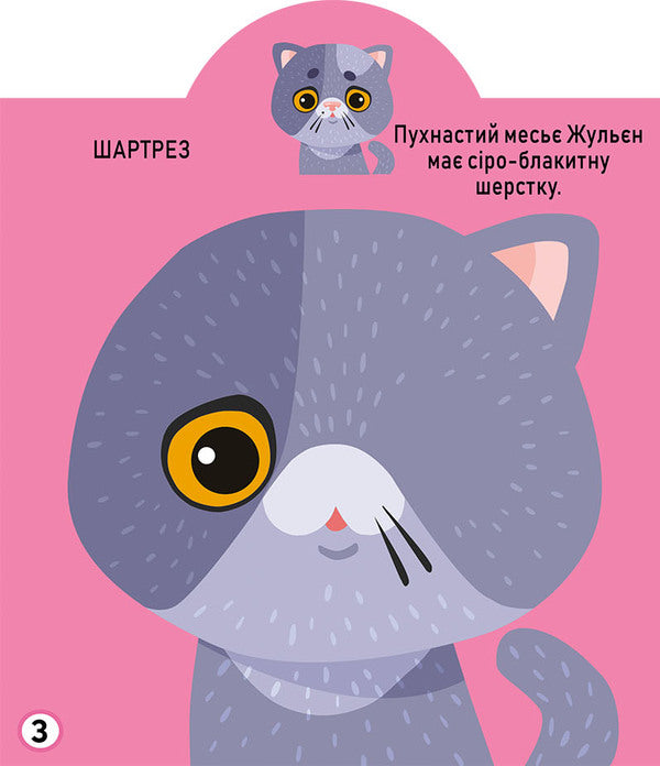 Development game. cats 69 large stickers / Грайка-розвивайка. Котики. 69 великих наліпок  978-966-987-558-7-4