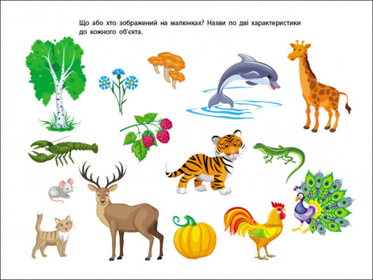 Development notebooks. Logical exercises with Euler circles. 4-6 years old. Level 1 / Розвивальні зошити. Логічні вправи з кругами Ейлера. 4-6 років. Рівень 1 Н. Коваль 9786170966285-2