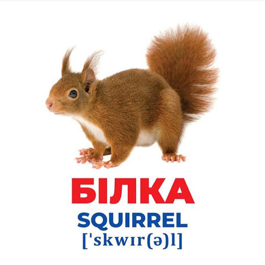 Diaper Genius. Animals of Ukraine. Demonstration material / Геній з пелюшок. Тварини України. Демонстраційний матеріал  4823076151577-2