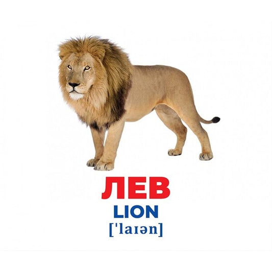 Diaper Genius. Animals of different latitudes / Геній з пелюшок. Тварини різних широт  -2