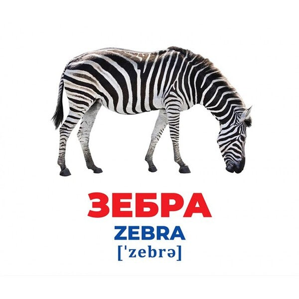 Diaper Genius. Animals of different latitudes / Геній з пелюшок. Тварини різних широт  -3