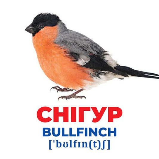 Diaper Genius. Birds of Ukraine. Demonstration material / Геній з пелюшок. Птахи України. Демонстраційний матеріал  4823076151584-2