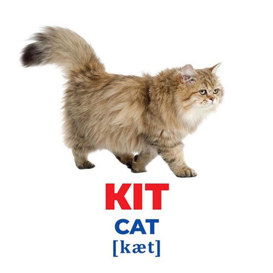 Diaper Genius. Domestic animals. Demonstration material / Геній з пелюшок. Свійські тварини. Демонстраційний матеріал  4823076151560-2