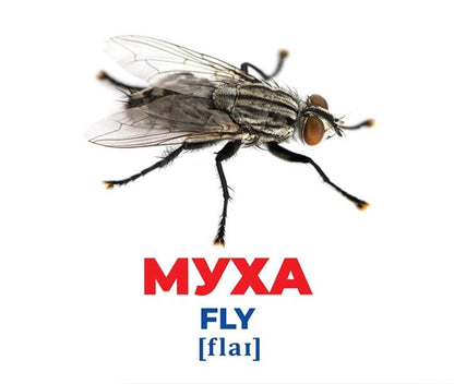 Diaper Genius. Insects Demonstration material / Геній з пелюшок. Комахи. Демонстраційний матеріал  4823076151645-2