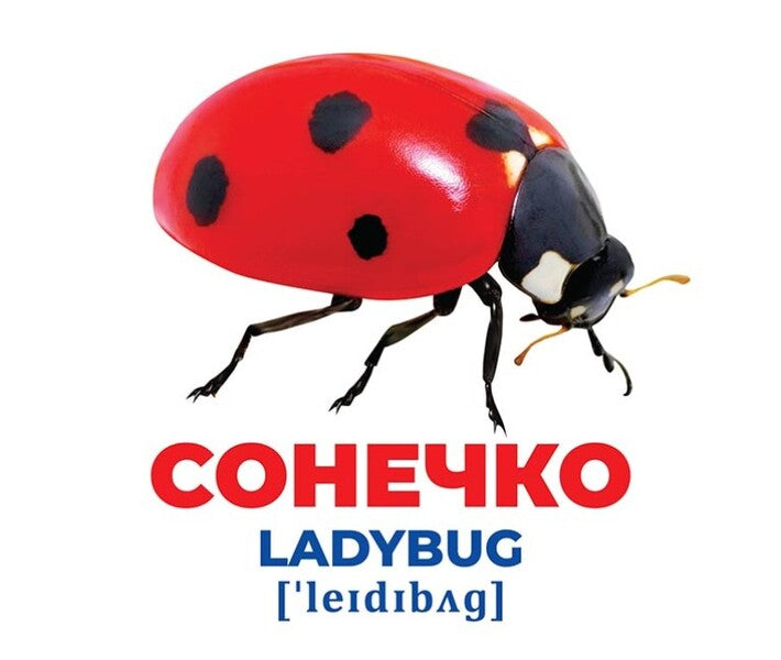 Diaper Genius. Insects Demonstration material / Геній з пелюшок. Комахи. Демонстраційний матеріал  4823076151645-3