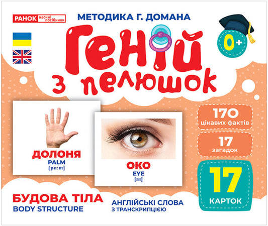 Diaper Genius. Physique. Demonstration material / Геній з пелюшок. Будова тіла. Демонстраційний матеріал  4823076151676-1