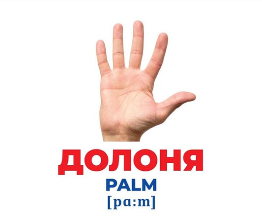 Diaper Genius. Physique. Demonstration material / Геній з пелюшок. Будова тіла. Демонстраційний матеріал  4823076151676-2