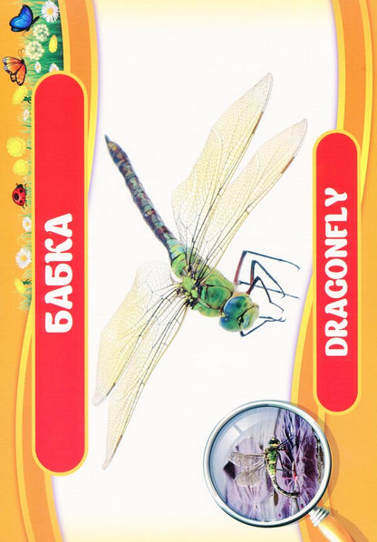 Didactic material. Let's tell the children. About insects / Дидактичний матеріал. Розповімо дітям. Про комах  4823076150457-3