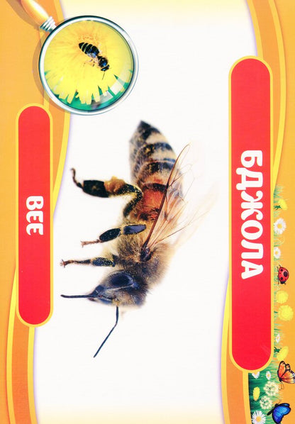 Didactic material. Let's tell the children. About insects / Дидактичний матеріал. Розповімо дітям. Про комах  4823076150457-4