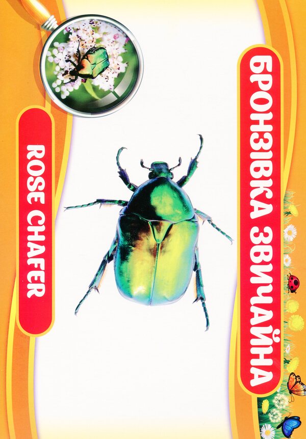 Didactic material. Let's tell the children. About insects / Дидактичний матеріал. Розповімо дітям. Про комах  4823076150457-5