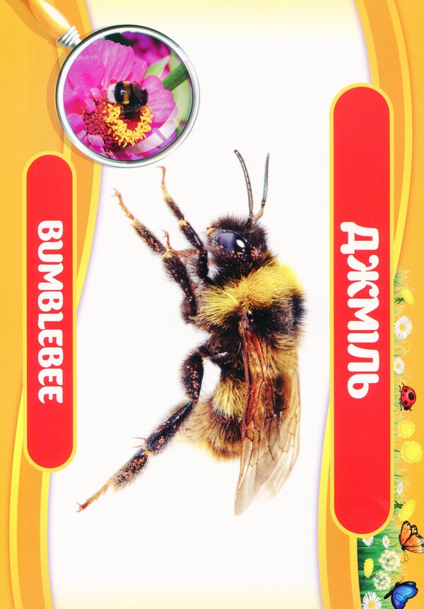 Didactic material. Let's tell the children. About insects / Дидактичний матеріал. Розповімо дітям. Про комах  4823076150457-6