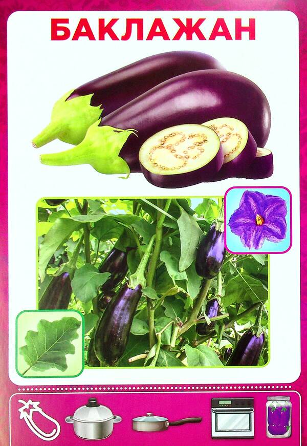 Didactic material. Let's tell the children. About vegetables / Дидактичний матеріал. Розповімо дітям. Про овочі  4823076150433-4