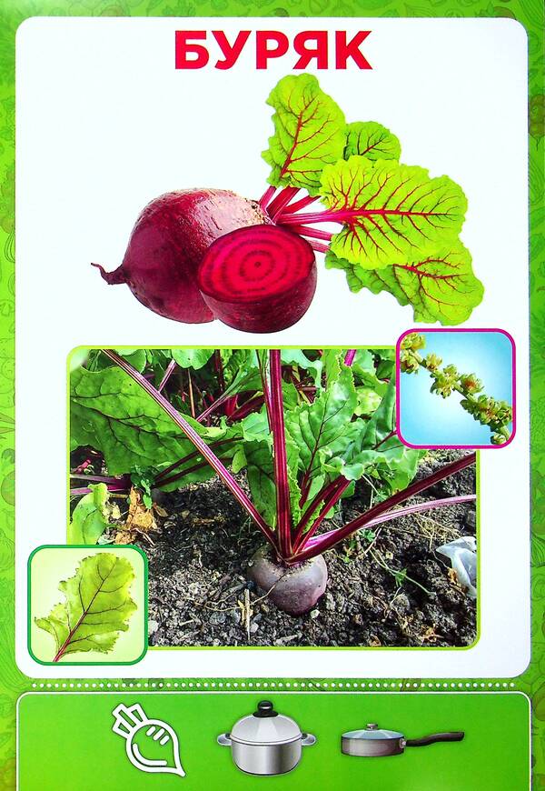 Didactic material. Let's tell the children. About vegetables / Дидактичний матеріал. Розповімо дітям. Про овочі  4823076150433-5