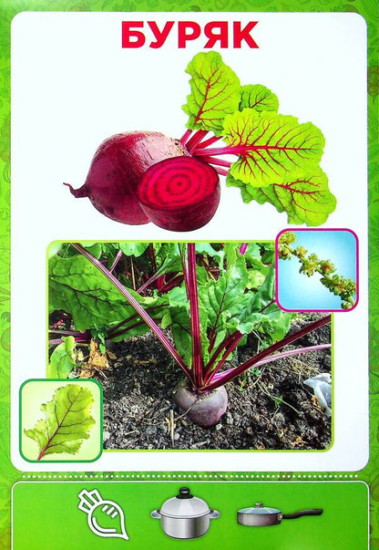 Didactic material. Let's tell the children. About vegetables / Дидактичний матеріал. Розповімо дітям. Про овочі  4823076150433-5