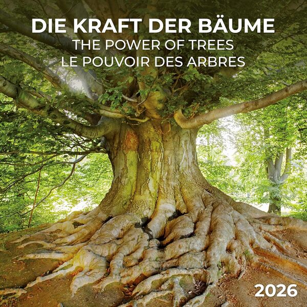 Die Kraft Der Bäume/The Power Of Trees/Le Pouvoir Des Arbres 2026 / Author not specified 9783959295994-1