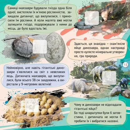 Dinosaurs / Динозаври Ekaterina Shapovalova / Екатерина Шаповалова 9789669892669-5