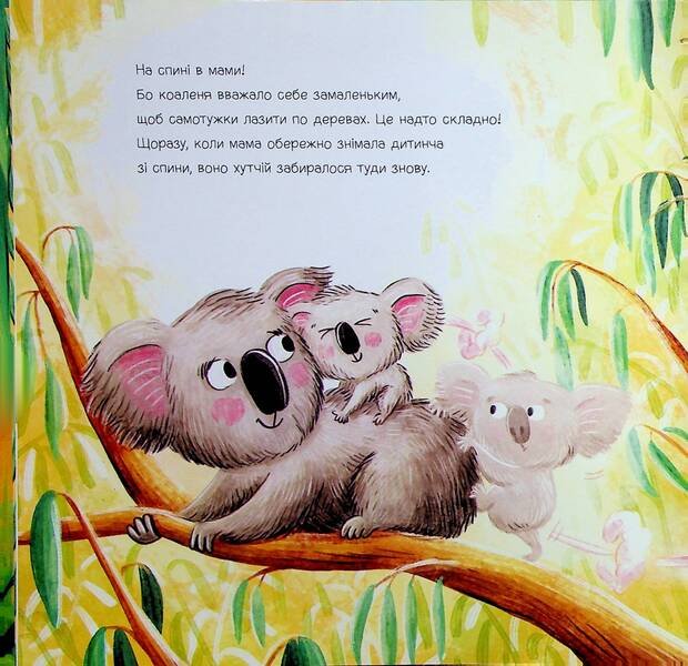 Disappeared? Found it! A werewolf book / Зникла? Знайшлась! Книга-перевертайка Нанна Несгефер 978-617-09-8989-5-6