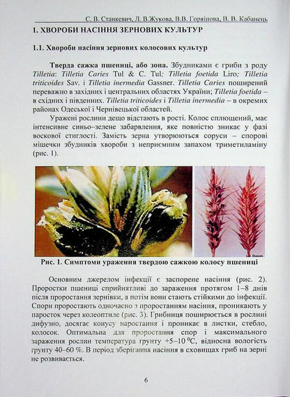 Diseases of seed material of agricultural crops. Study guide / Хвороби насіннєвого матеріалу сільськогосподарських культур. Навчальний посібник Сергей Станкевич, Виктория Горяинова, Любовь Жукова, Виталий Кабанец 978-617-8554-12-5-5