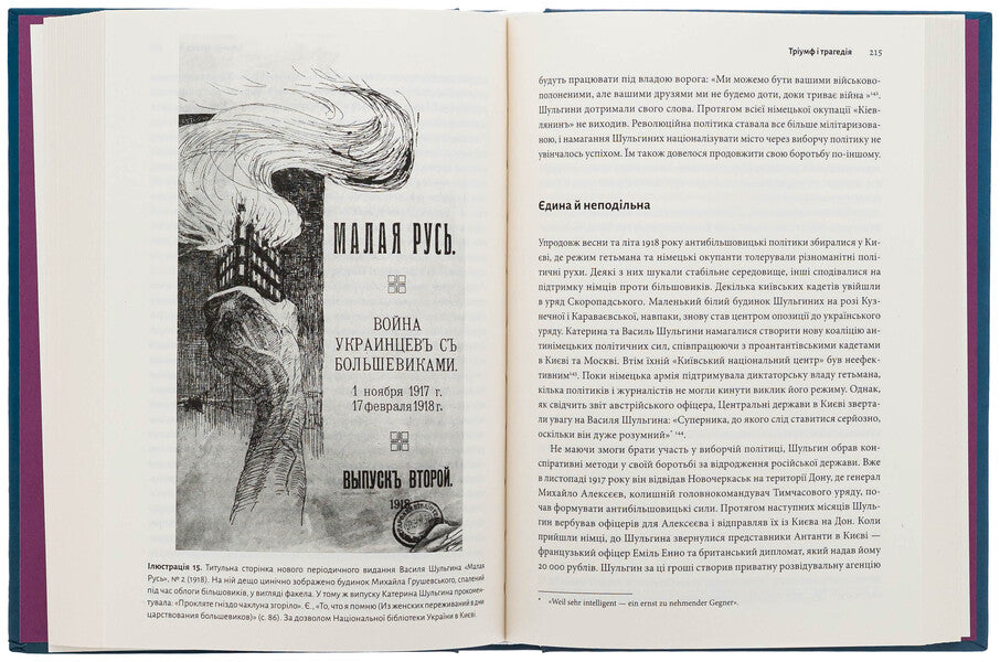 Divided Dynasty. Family History Of Russian And Ukrainian Nationalisms / Розділена династія. Родинна історія російського та українського націоналізмів Fabian Baumann / Фабіан Бауман 9786178538057-5