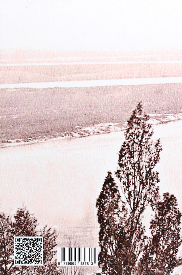 Dnieper stones / Дніпрові камени Иван Домбровский 9789665187813-2