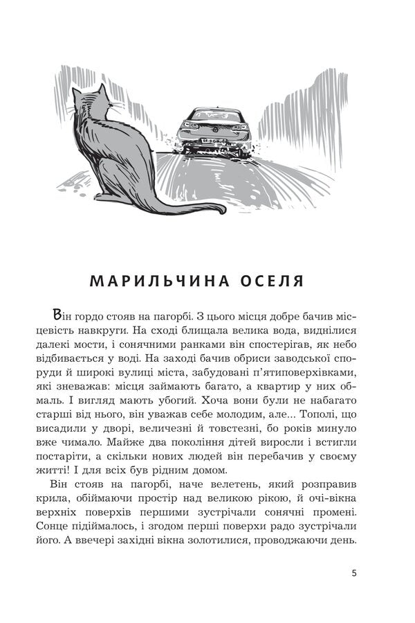 Do cats see heaven? / Чи бачать небеса котів  978-966-10-8825-1-5