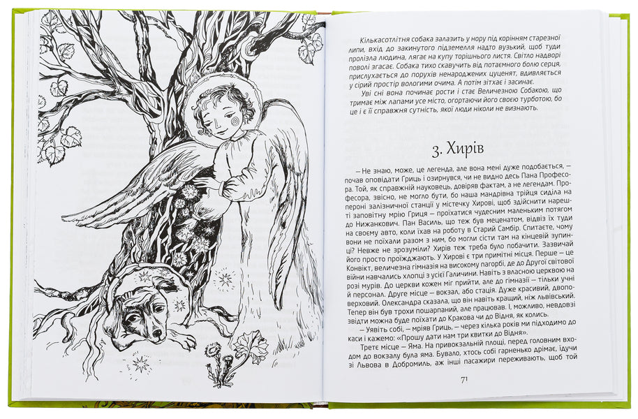 Dobromil science / Добромильська наука Галина Пагутяк, Лана Перлулайнен 9786177429837-5