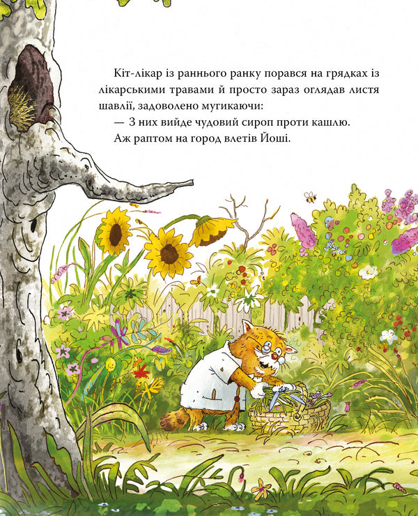 Doctor Cat Book 1 The Lost Sheep - Кт-лкар Книга 1 Заблукала ввця Valko - Валько 9786178639662-4