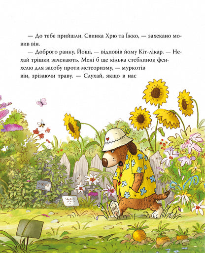 Doctor Cat Book 1 The Lost Sheep - Кт-лкар Книга 1 Заблукала ввця Valko - Валько 9786178639662-5