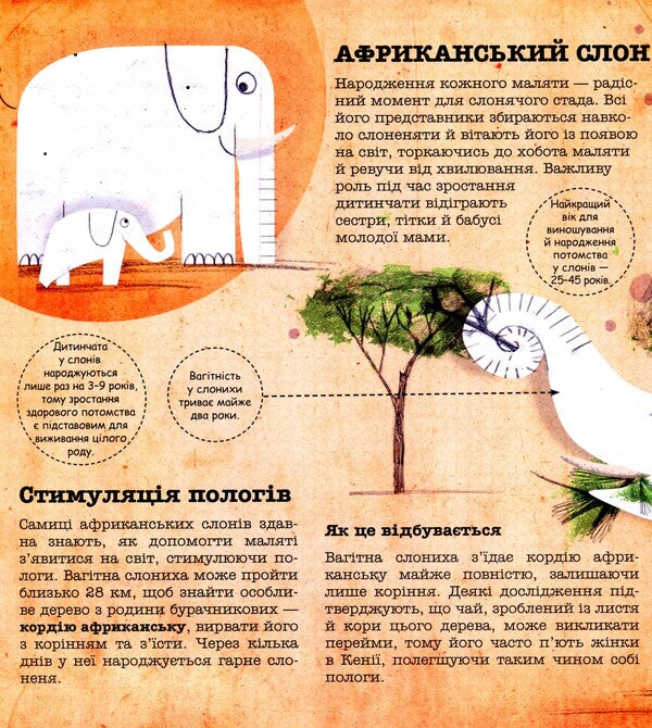 Doctors In The Animal World / Лікарі у світі тварин Angie Trius, Mark Doran / Енджі Тріус, Марк Доран 9786177329076-6