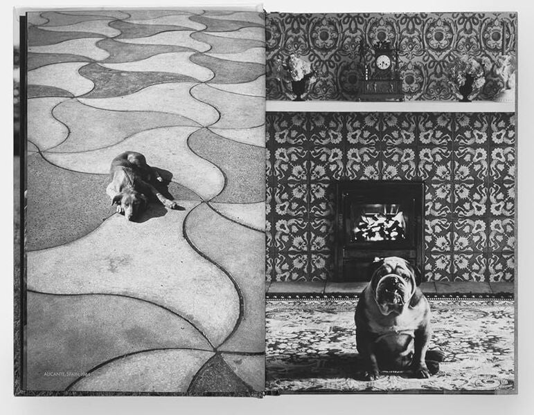 Dogdogs Elliot Ervitt / Эллиот Эрвитт 9781838669256-4