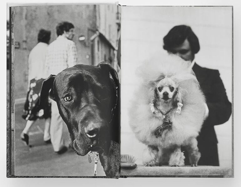 Dogdogs Elliot Ervitt / Эллиот Эрвитт 9781838669256-5