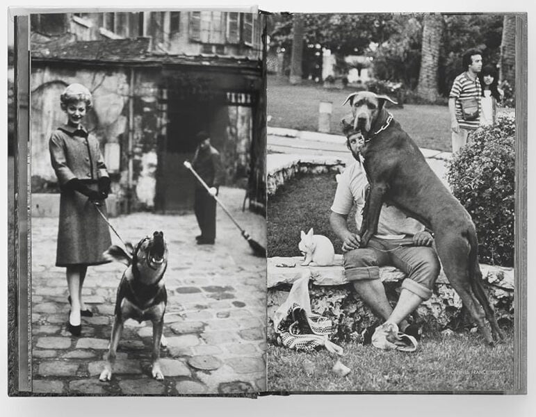 Dogdogs Elliot Ervitt / Эллиот Эрвитт 9781838669256-6