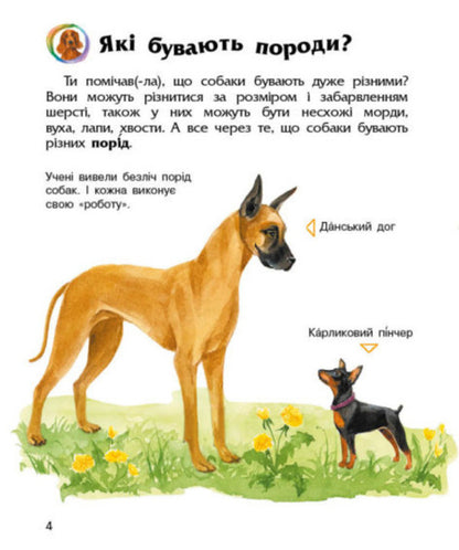 Dogs.Encyclopedia of a preschooler / Собаки. Енциклопедія дошкільника Юлия Каспарова 9786170976819-2