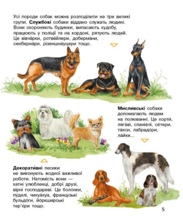 Dogs.Encyclopedia of a preschooler / Собаки. Енциклопедія дошкільника Юлия Каспарова 9786170976819-3