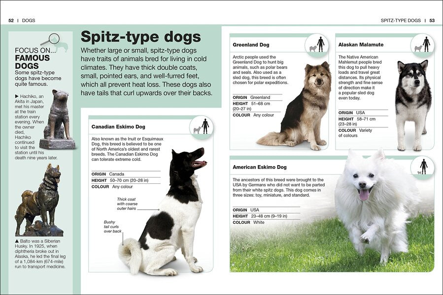 Dogs. Facts At Your Fingertips / Author not specified 9780241343609-5