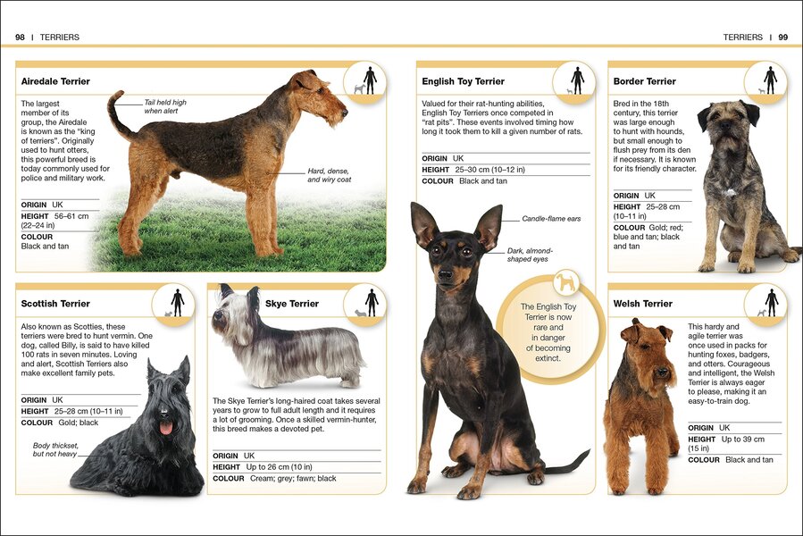 Dogs. Facts At Your Fingertips / Author not specified 9780241343609-6