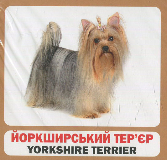 Dogs Set Of Cards / Собаки. Набір карток / Author not specified 9789669751867-2