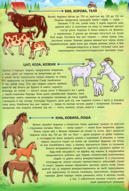 Domestic animals / Свійські тварини Екатерина Смирнова 978-966-284-502-0-4