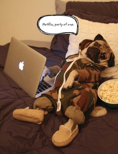 Doug The Pug: The King of the Internet / Doug The Pug: The King of the Internet Лесли Мосье 9780752266039-3