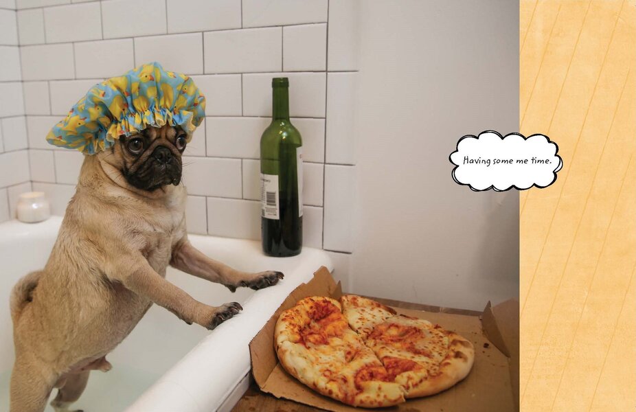 Doug The Pug: The King of the Internet / Doug The Pug: The King of the Internet Лесли Мосье 9780752266039-4