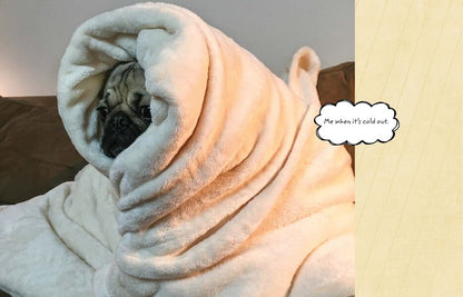 Doug The Pug: The King of the Internet / Doug The Pug: The King of the Internet Лесли Мосье 9780752266039-5