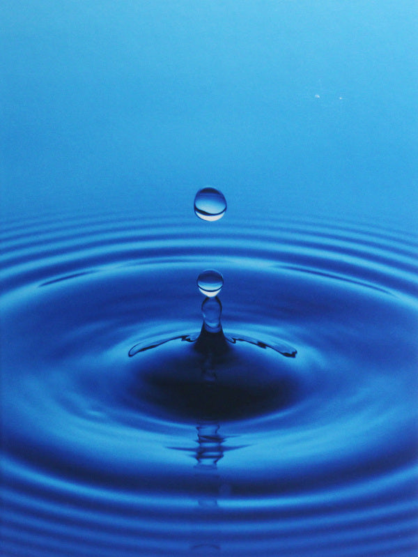 Drops / Drops  978-3-89789-503-4-1