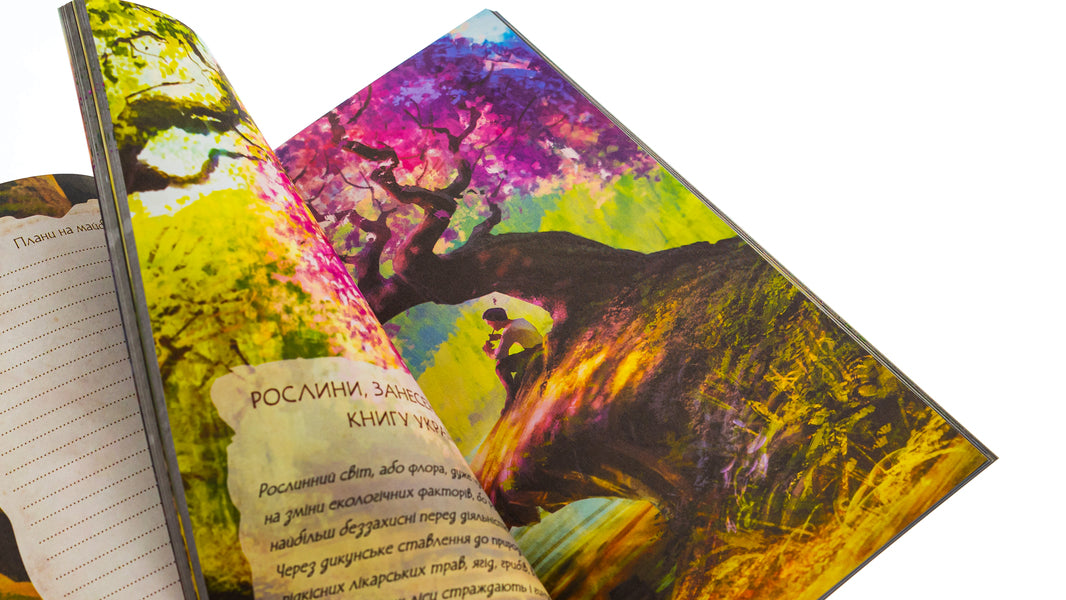 Dryad. Diary. Winter / Мавка. Щоденник. Зима  9789667514044-4