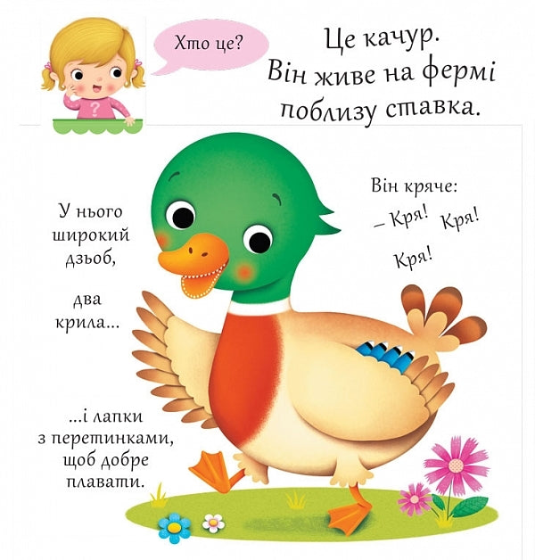 Ducks / Качки Emily Beaumont / Емілі Бомон 9789661051361-4