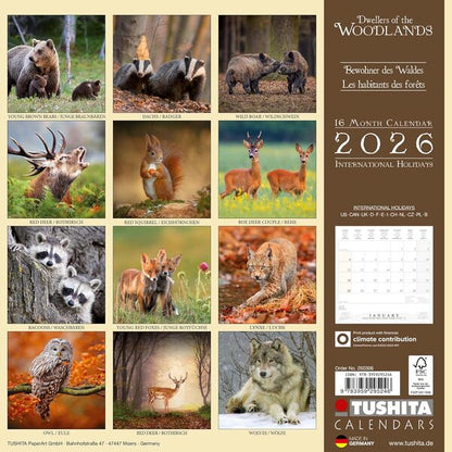 Dwellers Of The Woodlands 2026 / Author not specified 9783959295246-2