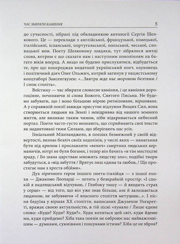 Echoes and echoes / Луни та відлуння Сергей Шелковый 9786178832452-4