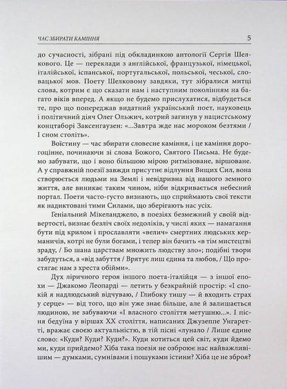 Echoes and echoes / Луни та відлуння Сергей Шелковый 9786178832452-4