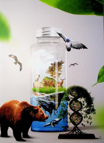 Ecology 4D / Екологія 4D  9786175492833-6