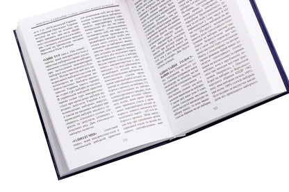Election Campaign. Dictionary Of Slang Terms And Expressions / Виборча кампанія. Словник сленгових термінів та виразів Vladimir Nesterovych / Володимир Нестерович 9786177844302-6
