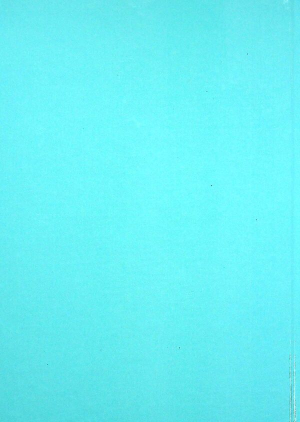 Electronic accounting. Textbook / Електронна бухгалтерія. Підручник В. Плаксиенко, И. Назаренко, С. Гаркуша, К. Жадько 978-617-7594-20-7-2